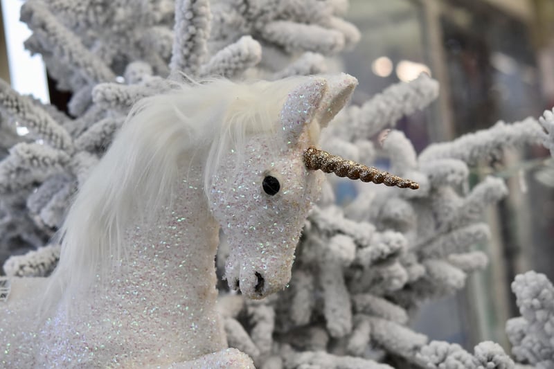 Unicorn Blossom