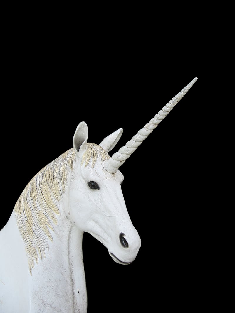 Unicorn Blossom